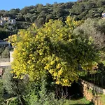 Nova Santa-Maria-di-Lota