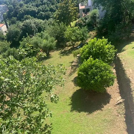 Nova * Santa-Maria-di-Lota