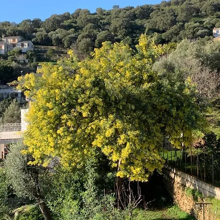 Nova Santa-Maria-di-Lota