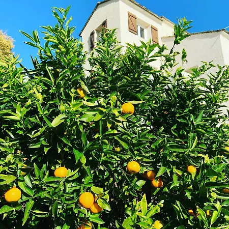 アパート Nova Santa-Maria-di-Lota