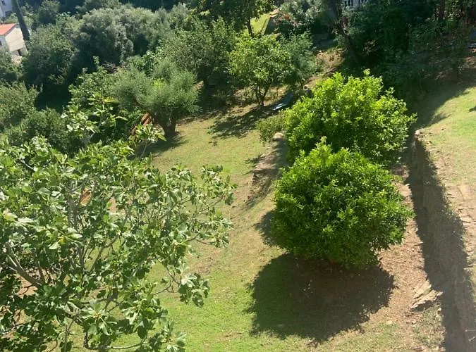 Nova * Santa-Maria-di-Lota