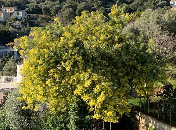 Nova Santa-Maria-di-Lota